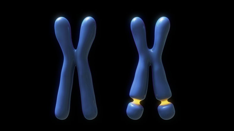 New Discovery Of Disrupted Genes And Unexpected Molecular Pattern In