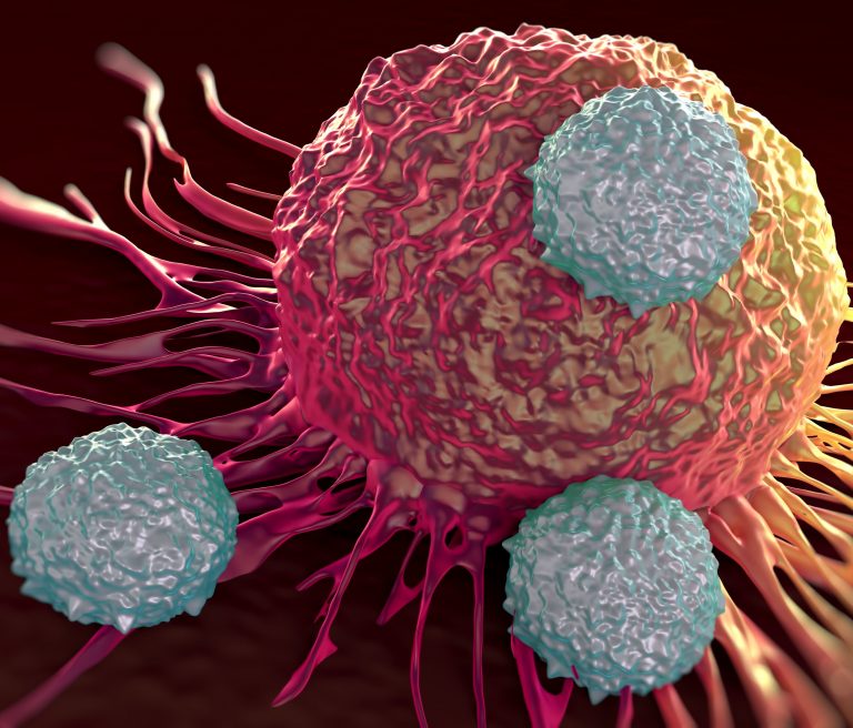 Cancer Immunotherapy Treatments May Be Improved by New Antihistamine Drugs