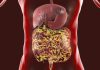 Ingestibles Offer Window into Gut Health