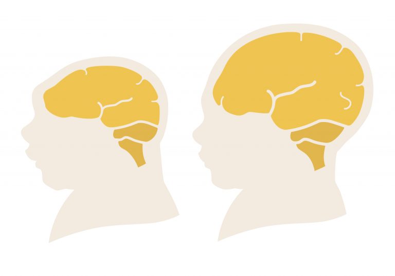 25 New Microcephaly Genes Identified via CRISPR Screen for Human Organoids