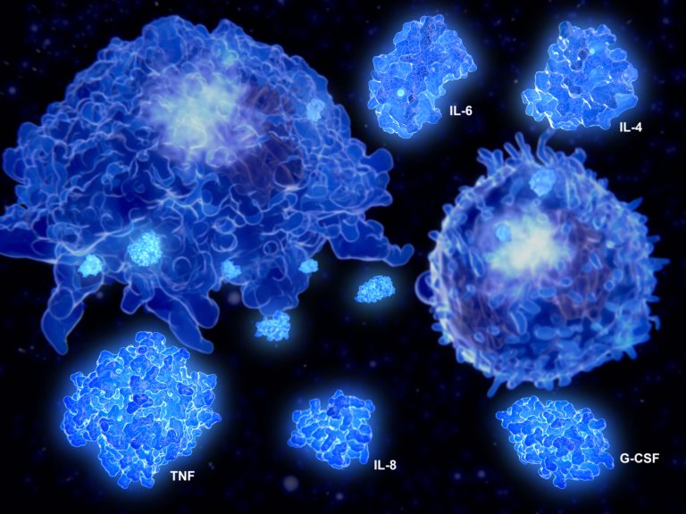 Cytokine storm, macrophage and T effector cell segregate the cytokines IL-4, IL-6, IL-8, G-CSF and TNF