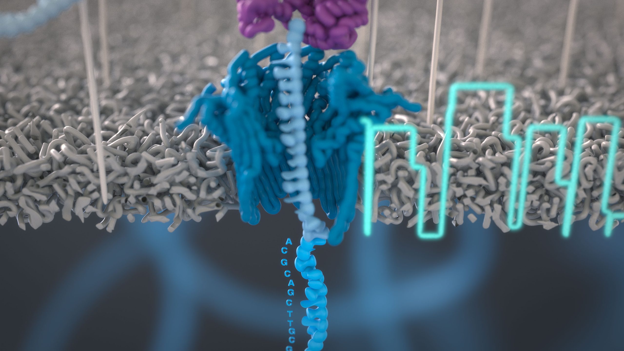 In-Surgery Classification of Brain Tumors | Inside Precision Medicine