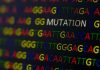 New Sequencing Technique Unveils Earliest Signs of Genetic Mutations