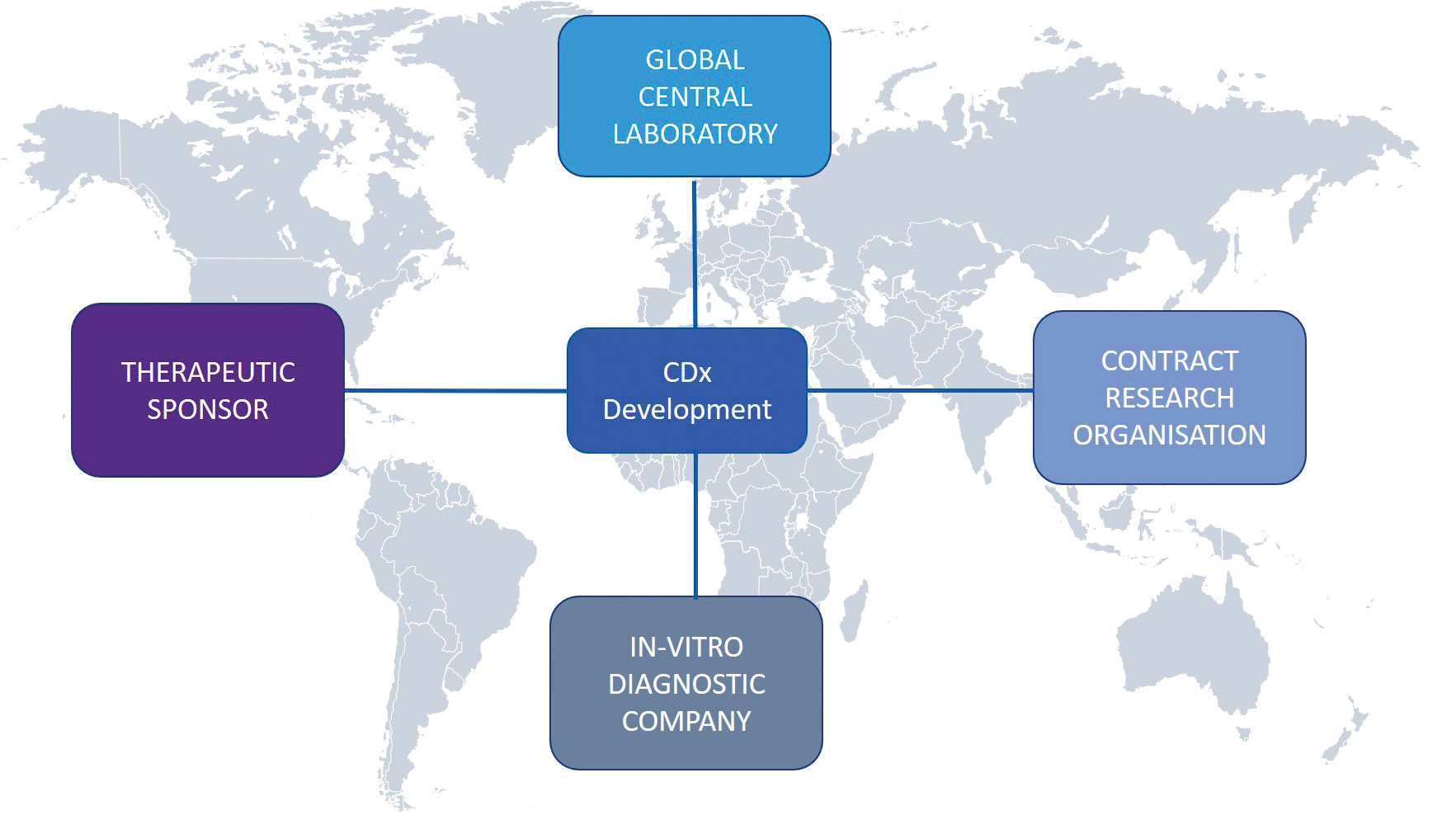 The Current State Of Companion Diagnostics In Oncology—A Strategy ...