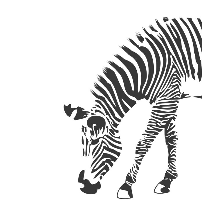 Putting Zebras in Plain Sight: A Focus on Ehlers-Danlos Syndrome