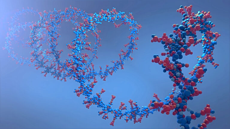 ribonicleic acid chain from which can be used to make RNA silencing treatments for conditions such as congenital melanocytic nevus syndrome