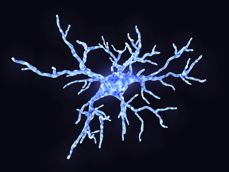 Microglial cell, illustration