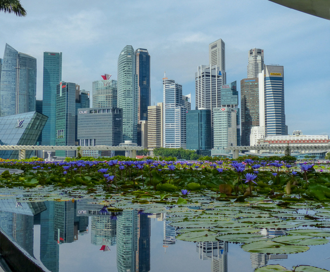 Singapore Skyline photo where the Singapore National Precision Medicine Program is taking place