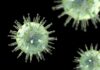 The SHIELD: La Jolla Institute for Immunology Gets $49M to Drug Herpesviruses