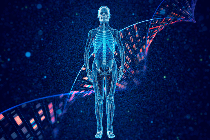 Human bone full body and DNA molecular structure