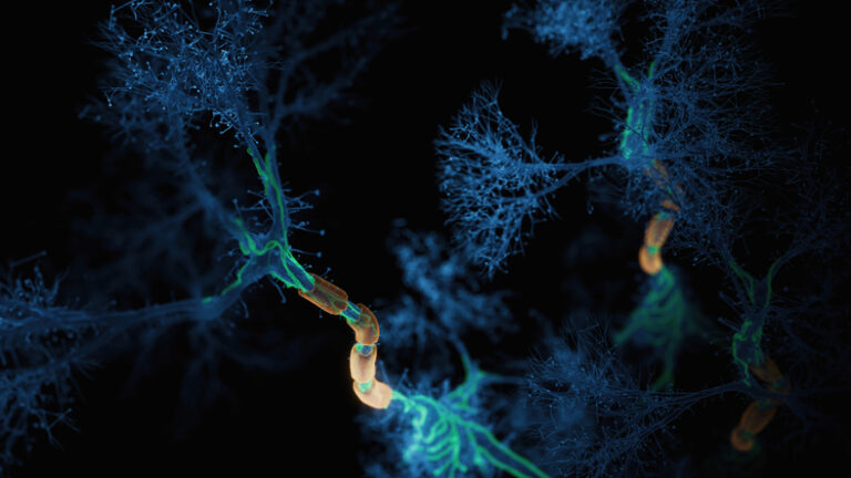 Firing Neurons Hologram