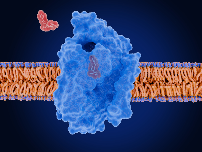 Moderate Calorie Restriction Plus SGLT-2 Achieves Higher Diabetes Remission Rate